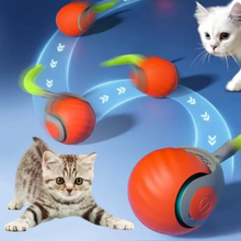 Lade das Bild in den Galerie-Viewer, KatzenSpaß SmartBall - Schnell, clever und immer bereit zum Spielen
