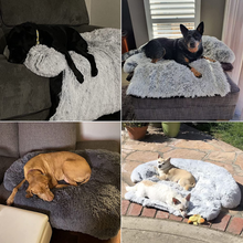 Lade das Bild in den Galerie-Viewer, Weiches Hundebett für die Couch oder anderswo - der Platz für den Vierbeiner in der Familie
